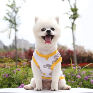 White pet dog vest with yellow trim and mouse print worn by a Pomeranian in a garden