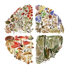 Detail of vintage botanical stickers showing mushrooms, ferns and wild flowers