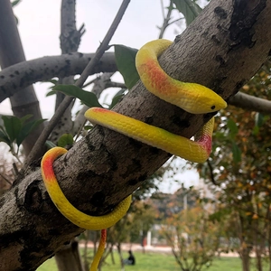 Détail d'un serpent jouet jaune réaliste en caoutchouc avec écailles sur une branche