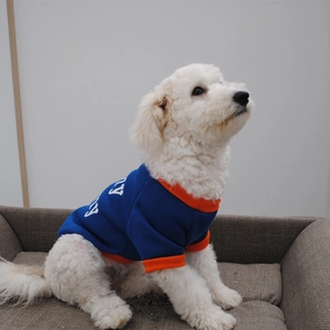 Detail of dog fleece hoodie with dark blue fabric, orange ribbed trim and white letters