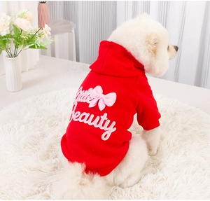 White Pomeranian in a red hooded pet sweater with Little Beauty text and a pink bow