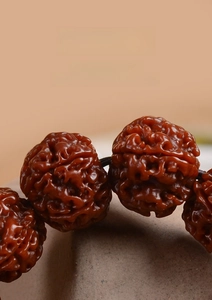 Macro shot of polished Rudraksha beads with reddish-brown oil finish and texture