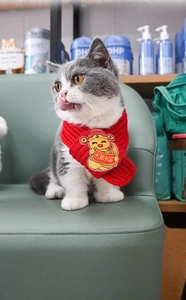 Détail de l'écharpe en tricot rouge pour animaux avec broderie festive chinoise