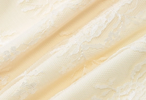 Primo piano del tessuto in pizzo beige con ricami floreali e trama a rete fine