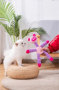 Close-up of hand holding a plush cartoon toy interacting with a white dog at home