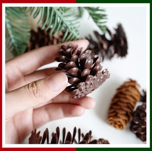 Close-up of a realistic brown artificial pine cone held in hand for Christmas decor