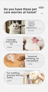 Detail showing common pet grooming issues like tangled fur and seasonal shedding