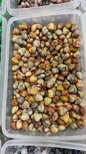 Assorted bulk 15mm natural crystal heart stones in a clear storage container