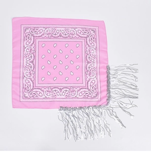 Detailed view of pink paisley pattern bandana with sparkling silver fringe trim