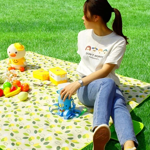 Foldable thermal picnic basket and moisture-proof mat set for outdoor camping