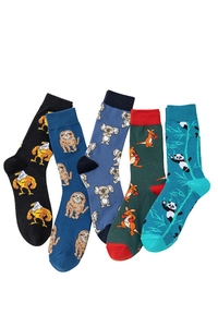 Close-up of five pairs of cotton socks featuring eagle, panda, and koala patterns
