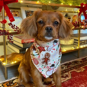 Detailed view of cream dog bandana with festive gingerbread and snowman holiday prints
