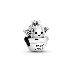 Macro shot of silver cactus charm with a flower and Free Hugs engraving on pot
