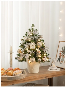 Mini Christmas tree with lights and Merry Christmas sign in a white metal pot