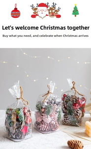 Gros plan de pommes de pin de Noël, baies rouges et bâtons de cannelle en sachets cadeaux