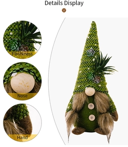 Dettagli dello gnomo succulento con cappello a maglia, naso in legno e barba di peluche