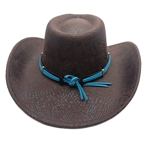 Detail of dark brown western cowboy hat with snakeskin texture and teal suede band
