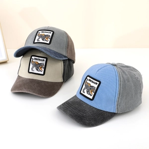 Detailed embroidery patch showing a roaring T-Rex and Dinosaur text on cotton baseball caps