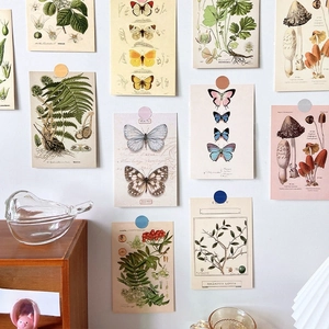 Set of vintage forest botanical postcards featuring plants and mushrooms on a wall