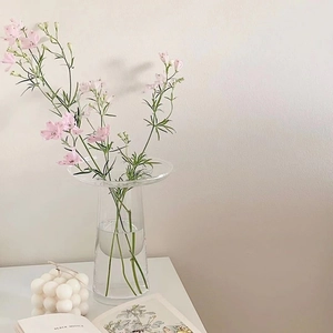 Minimalist clear glass vase with a wide flat rim and slender body on a desk