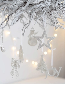Detail of silver glitter Christmas ornaments including star and JOY sign on snowy branch