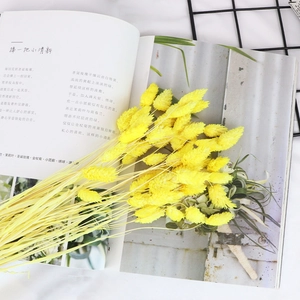 Macro shot of bright yellow dried flowers on a white magazine for home decor