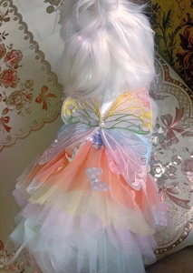 Detailed back view of rainbow tutu pet dress with mesh wings and pearl accents