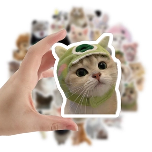 Close-up of cute die-cut cat sticker wearing a frog hat with hand-held detail