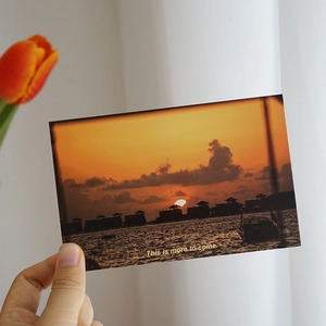 Sunset beach scenery postcard held by hand with aesthetic tulip flower decoration