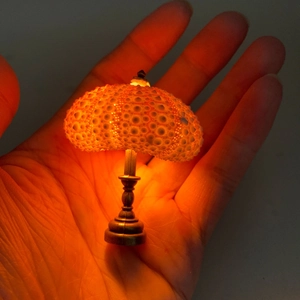 Mini sea urchin shell night light with warm glow held in palm for scale