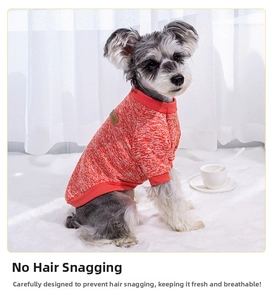 Close-up of orange-white knit pet sweater featuring classic leather label on soft rug