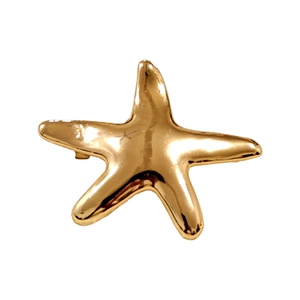 Macro shot of minimalist golden starfish hair accessory with high-polish metallic finish