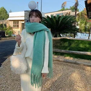 Detail of mint green pashmina scarf featuring long tassels and soft cashmere-like texture