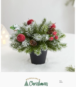 Mini pine cone Christmas tree in black pot with red berries and snowy frost detail