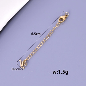 Detail view of gold stainless steel extension chain with lobster clasp and tag pendant