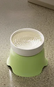 Top view of a white ceramic pet bowl with light green base on a stone floor