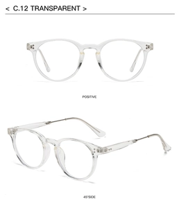 Detailed front and side views of transparent polarized sunglasses with metal temples