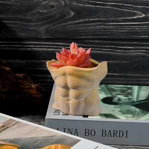 Molde de silicona creativo para macetas de suculentas con diseño de torso masculino DIY