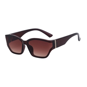 Classic large frame dark tea sunglasses with gradient lenses and metal temple detail
