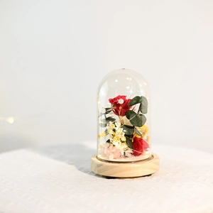Macro shot of preserved red rose in a glass dome with LED string lights and wood base