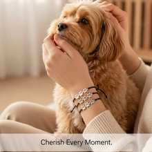 Close-up of three black woven pet bracelets with silver paw charms worn with a dog