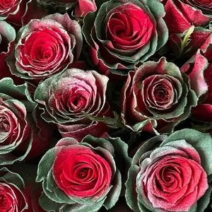Deep red velvet roses with vintage dark green edges in a dense floral bouquet spray