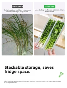 Detail view of transparent food storage box with 30.6cm length for fresh scallions