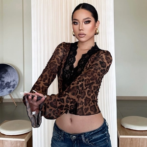 Detail of leopard print mesh top featuring lace trim and a sexy deep V-neckline