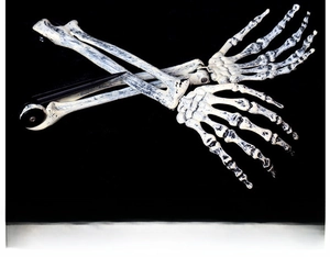 Close-up of realistic weathered texture on Halloween skull and skeleton hand props