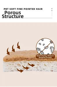 Cross-section of cellulose sponge with PBT soft fine hair and porous structure for quick drying