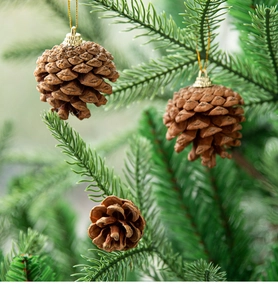Natural brown pine cone ornaments with gold strings hanging on green Christmas tree branches