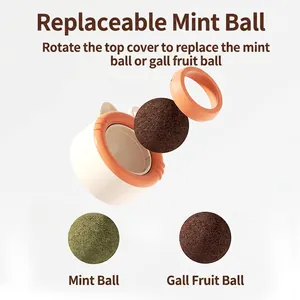 Rotating catnip and gall fruit ball toy with detachable white base for feline dental health