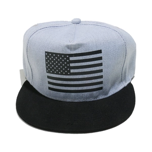 Flat brim baseball cap with American flag print in light blue and black dual-tone