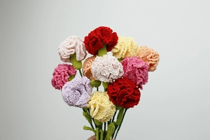 Handcrafted crochet carnation bouquet with vibrant assorted colors for Mother's Day